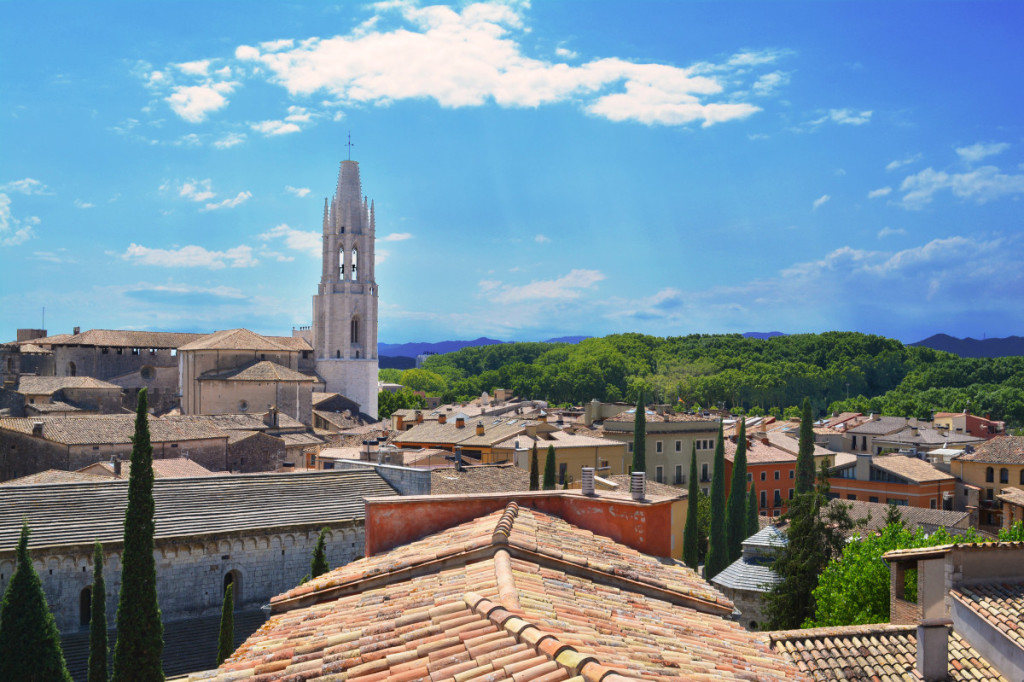 View from the castle wall