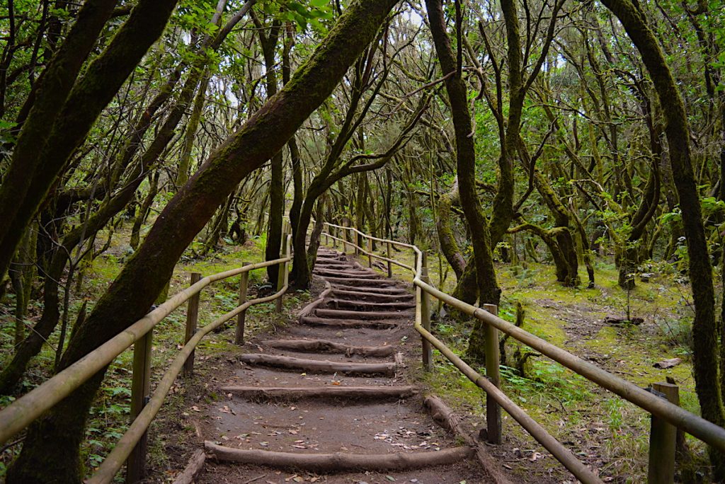 La Gomera, Canary Islands, tour of the island in three days