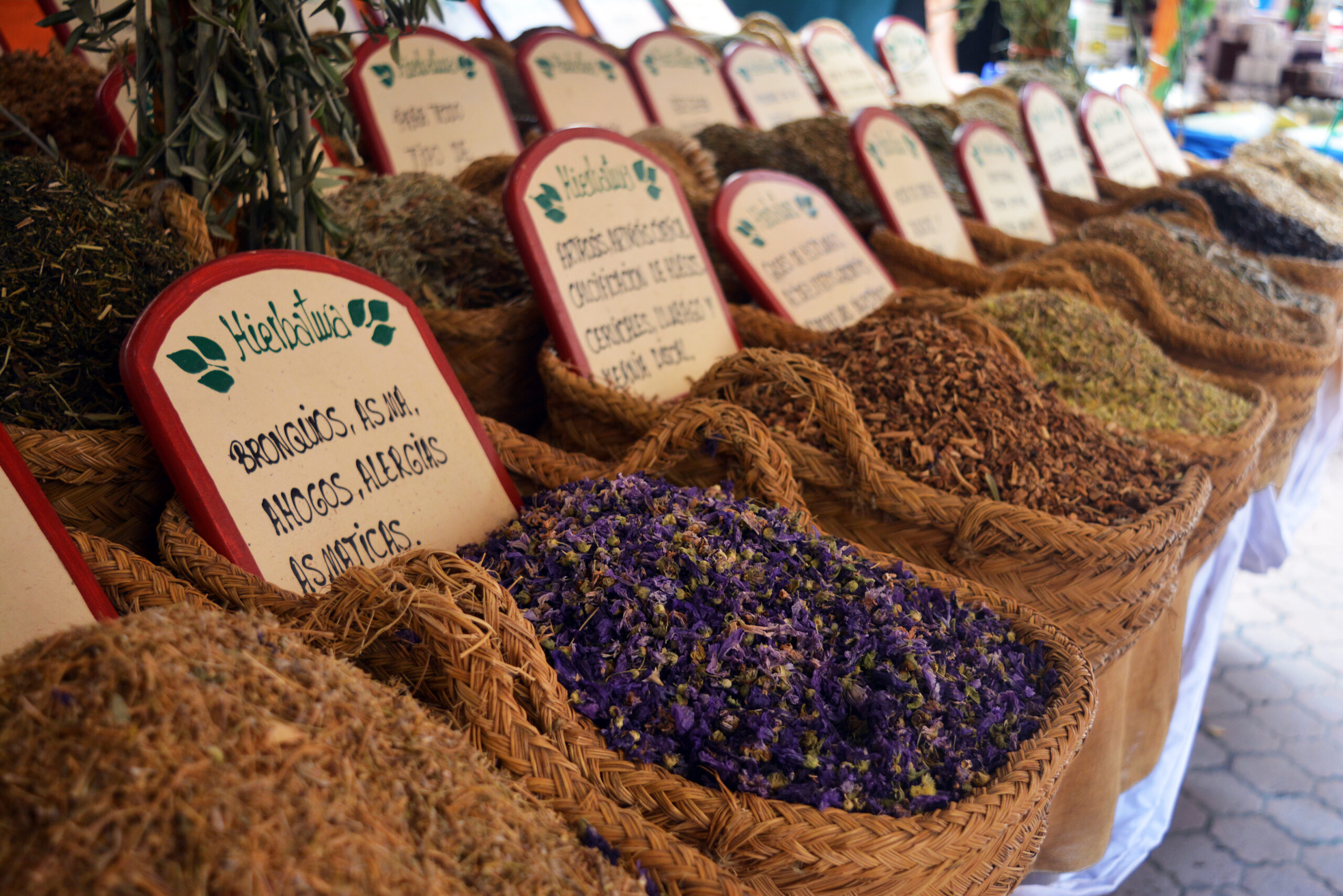 Fresh herbs at the Roman market, Santander